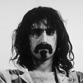 Zappa